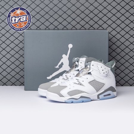 Air Jordan 6 Cool Grey CT8529-100 Men's